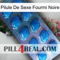 Black Ant Sex Pill viagra1